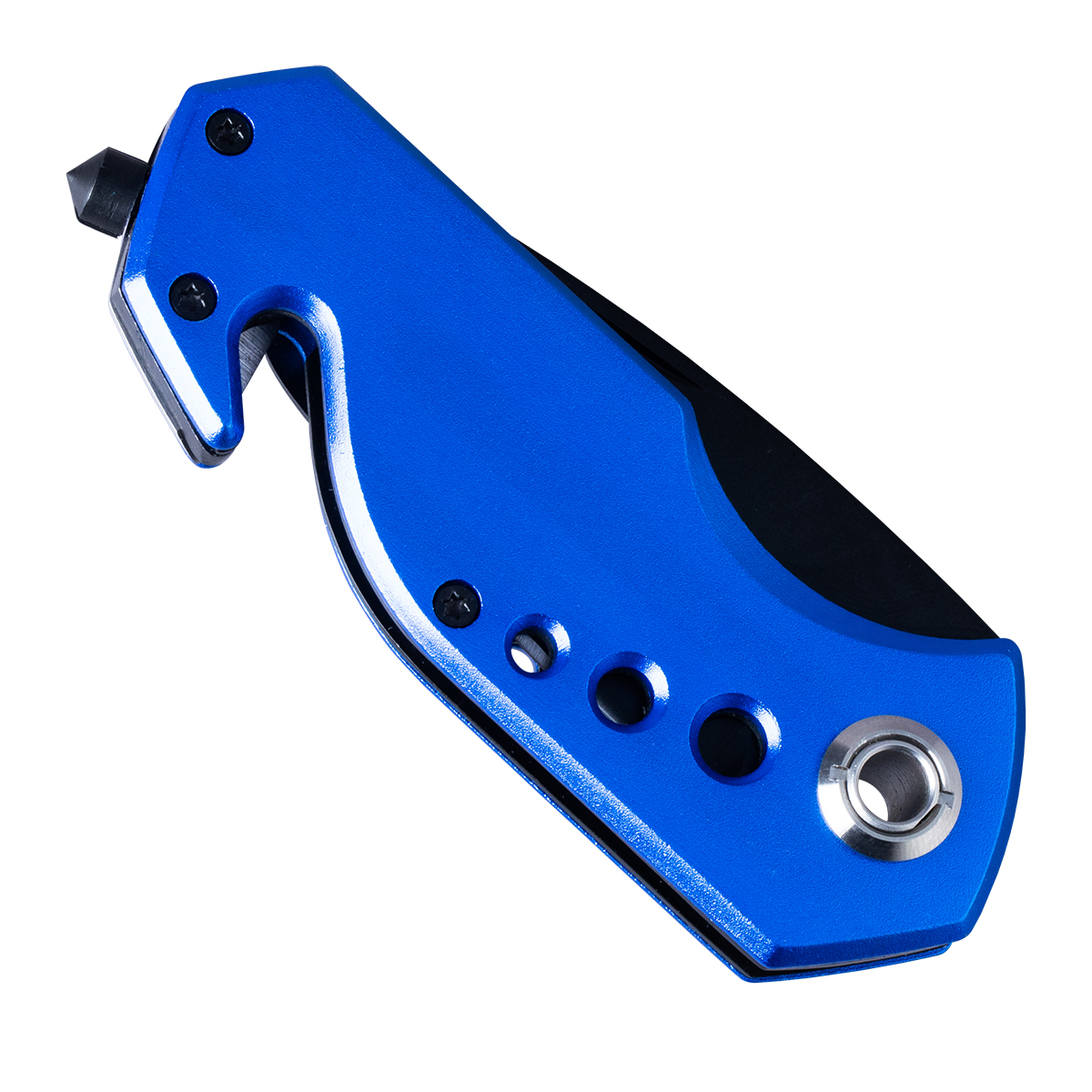 R17555.04 - Intact foldable knife, blue 