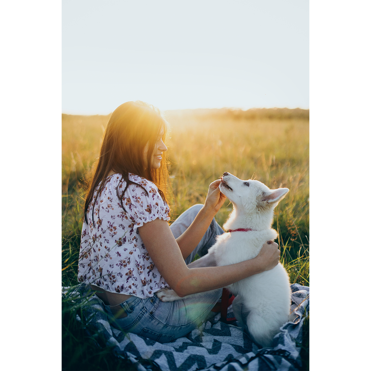R73619.04 - Hop frisbee for dog, blue 