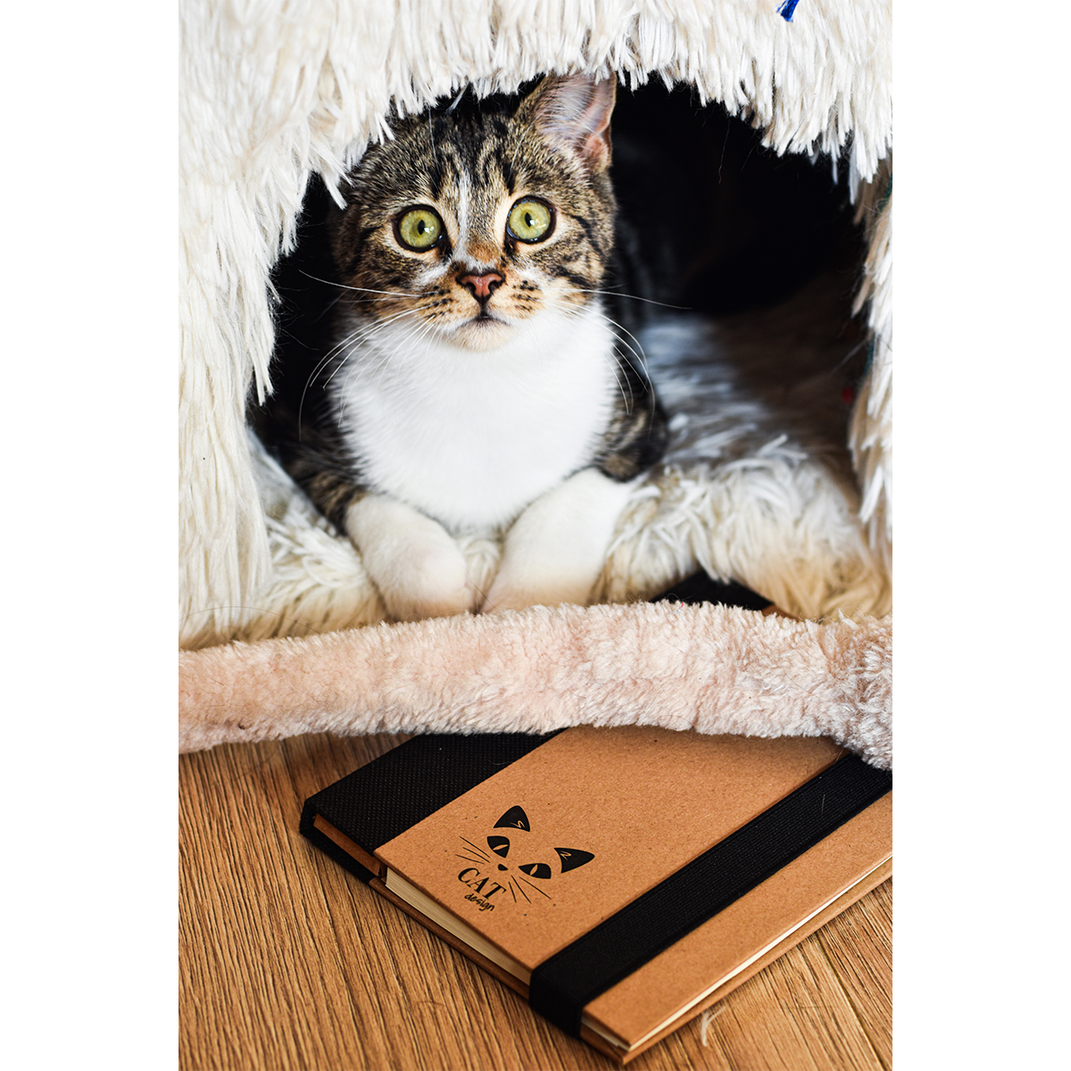 R73661.02 - Kraft Paper notepad with memo set, black/beige 