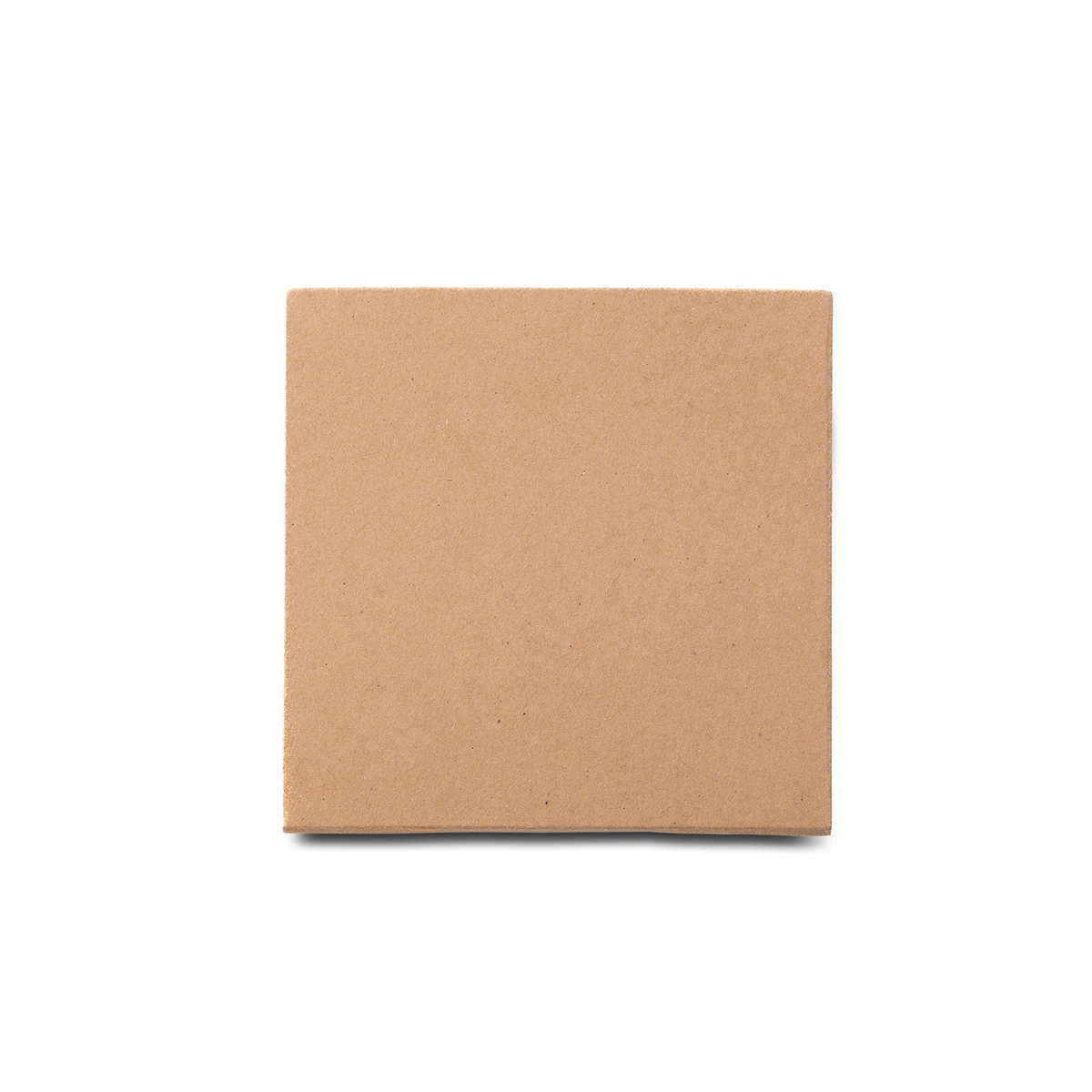 R73675.13 - Electrostatic Memo Notes, beige 