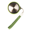 R08268.05 - 550 ml Sulmona glass bottle with tea infuser, green 