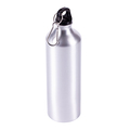 R08417.01 - 800 ml Easy Tripper water bottle, silver 