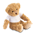 R74045.10 - Tuddo teddy bear, brown 