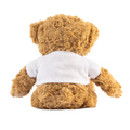 R74045.10 - Tuddo teddy bear, brown 